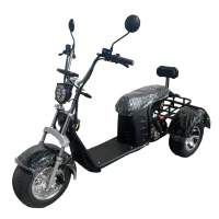 Электроскутер Maikaolin R11 Дабл Харлей